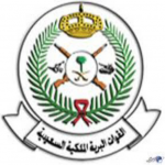 القوات البرية تعلن عن فتح باب القبول الإلكتروني في وحدات المظليين والقوات الخاصة